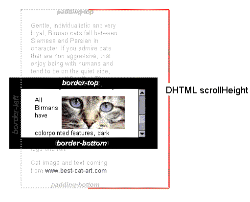 scroll-height_inner